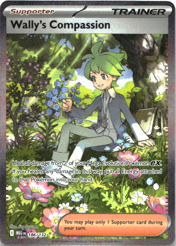 Wally's Compassion 186/132 Special Illustration Rare Mega Evolution Pokemon NM