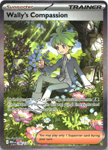 Wally's Compassion 186/132 Special Illustration Rare Mega Evolution Pokemon NM