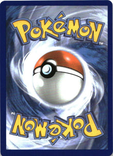 Dondozo ex 066/182 Double Rare Destined Rivals Pokemon Near Mint